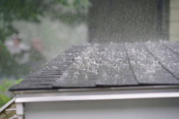 Best Skylight Installation and Repair  in Greene, RI